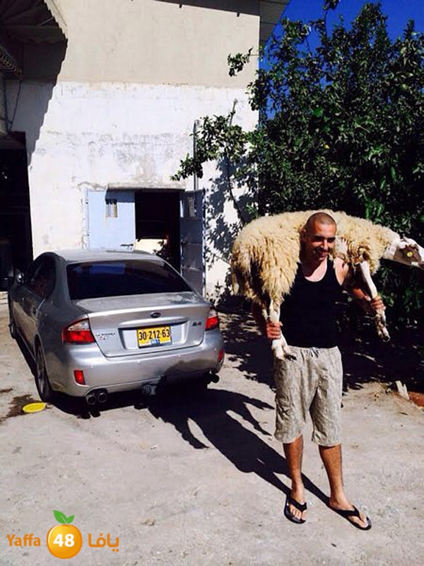 dabe7 ludj31 (60).jpg